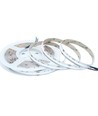 5m 20W/m RGB+WW COB-LED-strip - 24V DC, IP20, 784 LED's per meter, COB LED