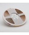 10m 6,5W/m Dot-free COB-LED-strip RA95 - 24V DC, 2700K, IP20, 320 LED/m, 5 jaar garantie