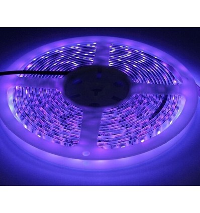 5m 10W/m UV 400 nm LED-strip - 24V DC, IP20, 120 LED