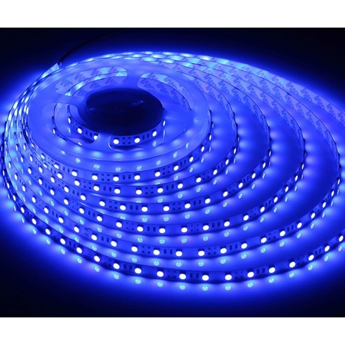 5m 10W/m Blauw 450 nm LED-strip - 24V DC, IP20, 120 LED's per meter
