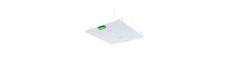Quantum groeilamp 65W - Inclusief ophanging, volledig spectrum, zonder ventilator, IP65