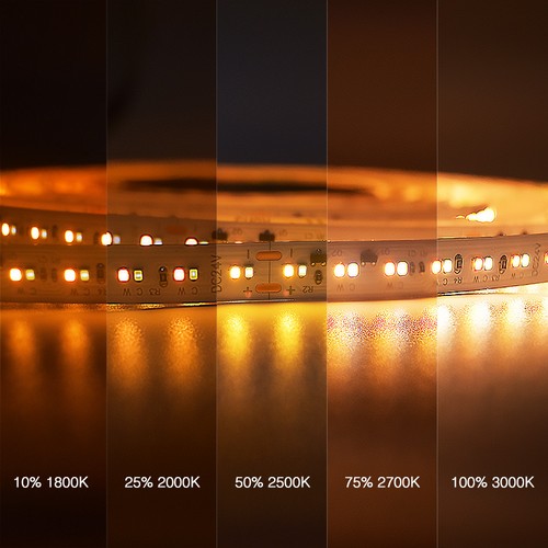 5m 17W/m DimToWarm LED-strip RA95 - 24V, IP20, 224 LED's per meter