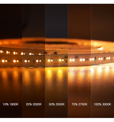 5m 17W/m DimToWarm LED-strip RA95 - 24V, IP20, 224 LED's per meter