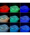 5 meter 12W/m RGB+WW LED-strip - 24V DC, IP65, 60 LED's per meter