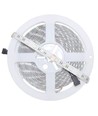 5 meter 12W/m RGB+WW LED-strip - 24V DC, IP65, 60 LED's per meter