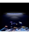 30-50 cm aquarium armatuur - 6W LED, wit/blauw, verstelbaar
