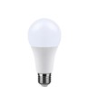 E27 15W LED lamp - A65, 1500lm, 200° stralingshoek, vervangt 100W