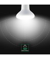 E27 11W LED R80 lamp - Samsung LED chip, 1055lm, vervangt 75W