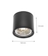 Plafondlamp AR111, GU10 - IP65, zwart, aluminium, opbouw, zonder lichtbron