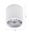 Plafondlamp AR111, GU10 - IP44, wit, aluminium, opbouw, zonder lichtbron