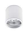 Plafondlamp AR111, GU10 - IP44, wit, aluminium, opbouw, zonder lichtbron