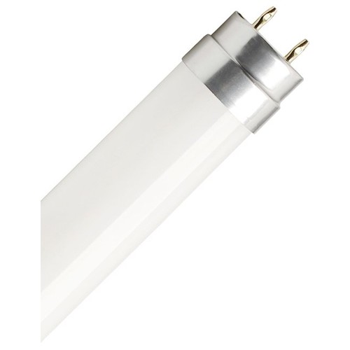 60cm / 8W T8 LED buis - 160lm/W, glas, Direct/Ballast compatibel, 6500K