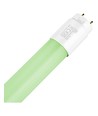 151,3cm / 22W T8 LED buis - Groen, Glas, Direct/Ballast compatibel