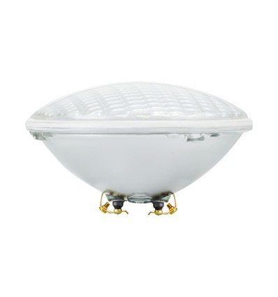20W PAR56 LED zwembadlamp, 12V - 2000lm, 6500K, koud wit licht, schroefaansluiting, helder glas