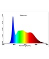 E27 19W groeilamp - Volledig spectrum, PAR30, 24 graden stralingshoek