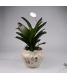 LEDlife plantlicht met pin - 12W, timer, dimbaar, verstelbare hoogte
