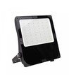 300W LED-schijnwerper met instelbaar wattage - Asymmetrisch, IP66 buiten, IK08, zwart