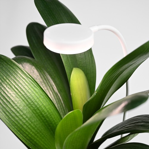 Flexibele groeilamp met grondpen - 12W, timer