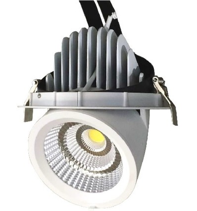 30W Ø16,5cm Downlight - Zaagmaat: Ø15 cm, Afmetingen: Ø16,5 cm, 4100lm, Verstelbare hoek