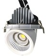 30W Ø16,5cm Downlight - Zaagmaat: Ø15 cm, Afmetingen: Ø16,5 cm, 4100lm, Verstelbare hoek