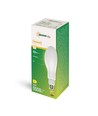 E27 36W LED-lamp - 360°, mat glas