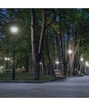 LED PARISIENNE PREMIUM COG 30W E-27 NW MAT SPECTRUM