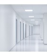 62x62 LED paneel, 25/40/45W - Instelbaar watt en CCT, 144lm/W, UGR19, 5 jaar garantie