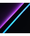 5m 16W/m RGBIC Neon Flex strip - 24V DC, IP20, 96 LED