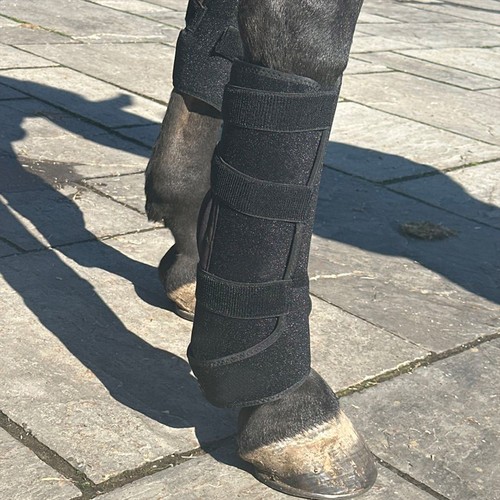 Lichttherapie pad voor paarden - Infrarood en rood licht, incl. powerbank