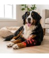 Lichttherapie gamache voor honden - voor poten & gewrichten, rood/infrarood, accu