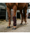 Roodlichttherapie gamache voor paarden - benen en gewrichten, infrarood, oplaadbaar