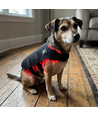 Lichttherapie vest voor hond of kat - Infrarood, 10W, met batterij, 52 x 30 cm