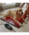 Lichttherapiemat voor hond en kat - Infrarood & Nabij-infrarood, 60x60cm, 60W