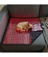 Lichttherapiemat voor hond en kat - Infrarood & Nabij-infrarood, 60x60cm, 60W