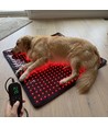 Lichttherapiemat voor hond en kat - Infrarood & Nabij-infrarood, 60x60cm, 60W