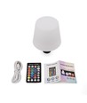 Oplaadbare RGB LED flessenlamp - Wit, incl. afstandsbediening, IP54 buiten