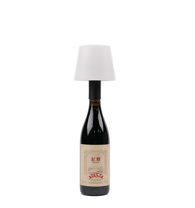 Oplaadbare RGB LED flessenlamp - Wit, incl. afstandsbediening, IP54 buiten
