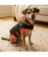 Lichttherapie vest voor hond en kat - infrarood, met batterij, 52x30 cm