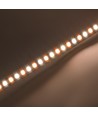 10m 10W/m CCT LED-strip RA95 - 24V DC, IP20, 240 LED