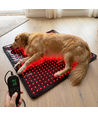 Lichttherapiemat voor hond en kat - rood en nabij-infrarood, 60x60 cm, 60W