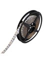 5m 19W/m RGB+CCT LED strip RA93 - 24V DC, 270 LED per meter, IP20