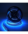 5m 19W/m RGB+CCT LED strip RA93 - 24V DC, 270 LED per meter, IP20