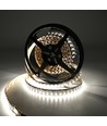 5m 19W/m RGB+CCT LED strip RA93 - 24V DC, 270 LED per meter, IP20