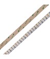 5m 19W/m RGB+CCT LED strip RA93 - 24V DC, 270 LED per meter, IP20
