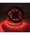 10m 19W/m RGB+CCT LED strip RA93 - 24V DC, 270 LED