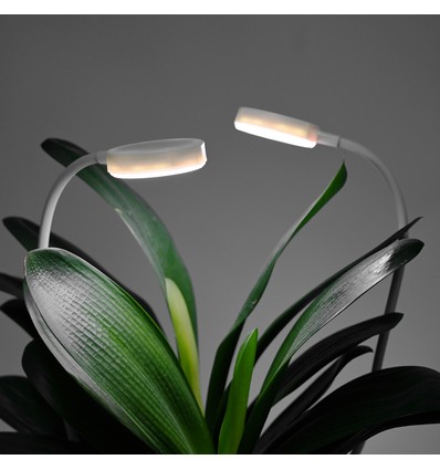 2 st. Flexibele groeilamp met grondpen - 12W, timer, 40cm