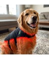 Lichttherapie deken voor honden - Infrarood, incl. powerbank, Groot model 80 x 40 cm