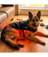 Lichttherapie deken voor honden - Infrarood, incl. powerbank, Groot model 80 x 40 cm