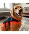 Lichttherapie deken voor honden - Infrarood, incl. powerbank, Groot model 80 x 40 cm