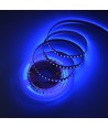 5m 10W/m UV 400 nm LED-strip - 24V DC, IP20, 120 LED